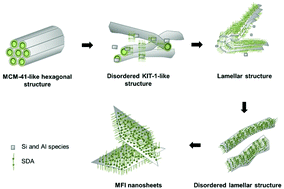 Graphical abstract: The mechanism of promoter-induced zeolite nanosheet crystallization under hydrothermal and microwave irradiation conditions