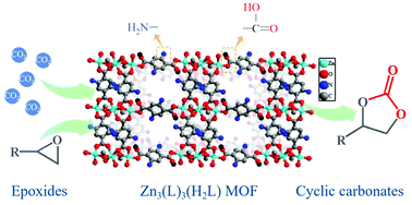 Graphical abstract: Dual hydrogen-bond donor group-containing Zn-MOF for the highly effective coupling of CO2 and epoxides under mild and solvent-free conditions