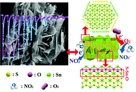 Graphical abstract: Enhanced NO2 sensing performance of S-doped biomorphic SnO2 with increased active sites and charge transfer at room temperature