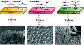 Graphical abstract: Surface-guided polymorphism control of titanyl phthalocyanine single crystals