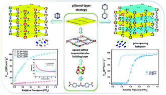 Graphical abstract: Two urea-functionalized pcu metal–organic frameworks based on a pillared-layer strategy for gas adsorption and separation