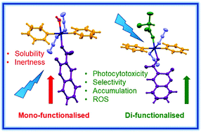Graphical abstract: Axial functionalisation of photoactive diazido platinum(iv) anticancer complexes