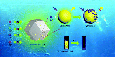 Graphical abstract: Integration of Cd:ZnS QDs into ZIF-8 for enhanced selectivity toward Cu2+ detection