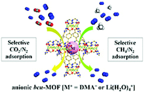 Graphical abstract: Selective CO2 or CH4 adsorption of two anionic bcu-MOFs with two different counterions: experimental and simulation studies