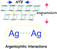 Graphical abstract: Argentophilicity induced anomalous thermal expansion behavior in a 2D silver squarate