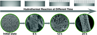 Graphical abstract: High energy density hybrid supercapacitors derived from novel Ni3Se2 nanowires in situ constructed on porous nickel foam