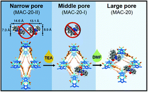 Graphical abstract: Precise regulating synergistic effect in metal–organic framework for stepwise-controlled adsorption
