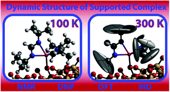 Graphical abstract: Observing the three-dimensional dynamics of supported metal complexes