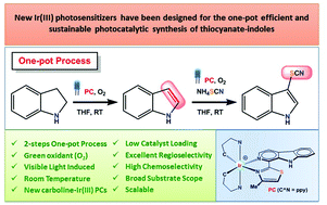 Graphical abstract: One-pot photocatalytic transformation of indolines into 3-thiocyanate indoles with new Ir(iii) photosensitizers bearing β-carbolines