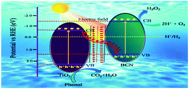 Graphical abstract: Growth of macroporous TiO2 on B-doped g-C3N4 nanosheets: a Z-scheme photocatalyst for H2O2 production and phenol oxidation under visible light