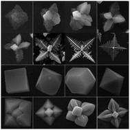 Graphical abstract: Morphology control of Cu and Cu2O through electrodeposition on conducting polymer electrodes