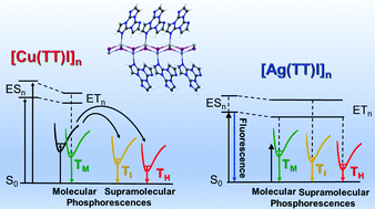 Graphical abstract: Ag(i) and Cu(i) cyclic-triimidazole coordination polymers: revealing different deactivation channels for multiple room temperature phosphorescences