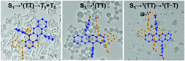 Graphical abstract: Tuning singlet fission in amphipathic tetracene nanoparticles by controlling the molecular packing with side-group engineering