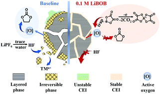 Graphical abstract: Lithium bis(oxalate)borate additive in the electrolyte to improve Li-rich layered oxide cathode materials