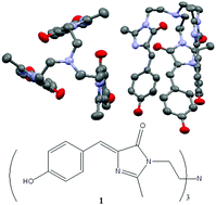 Graphical abstract: A GFP-chromophore-based C3V-symmetric tripodal receptor with selective recognition of Hg(ii), Fe(iii) and Cr(iii)