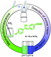 Graphical abstract: Multi-stimuli responsive cyanostilbene derivatives: pH, amine vapor sensing and mechanoluminescence