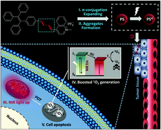 Graphical abstract: Efficient near-infrared photosensitizer with aggregation-induced emission characteristics for mitochondria-targeted and image-guided photodynamic cancer therapy