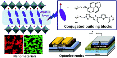 Graphical abstract: Two-dimensional halide perovskites featuring semiconducting organic building blocks