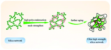 Graphical abstract: One pot rapid synthesis of ultra high strength hydrophobic bulk silica aerogels