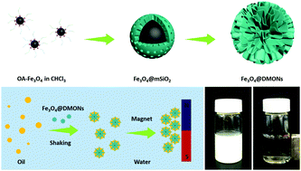 Graphical abstract: Superhydrophobic magnetic core–shell mesoporous organosilica nanoparticles with dendritic architecture for oil–water separation