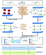 Graphical abstract: Organic montmorillonite produced an interlayer locking effect in a polymer scaffold to enhance interfacial bonding