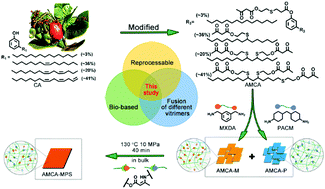 Graphical abstract: Fusion of biobased vinylogous urethane vitrimers with distinct mechanical properties