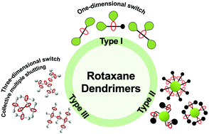 Graphical abstract: Development and advancement of rotaxane dendrimers as switchable macromolecular machines