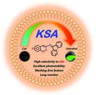 Graphical abstract: Keto-salicylaldehyde azine: a kind of novel building block for AIEgens and its application in tracking lipid droplets