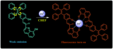 Graphical abstract: A novel quinolinyl-tetraphenylethene-based fluorescence “turn-on” sensor for Zn2+ with a large Stokes shift and its applications for portable test strips and biological imaging