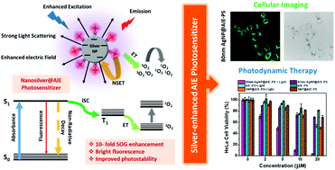 Graphical abstract: Nanosilver-enhanced AIE photosensitizer for simultaneous bioimaging and photodynamic therapy