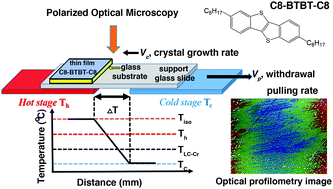 Graphical abstract: Directional crystallization of C8-BTBT-C8 thin films in a temperature gradient