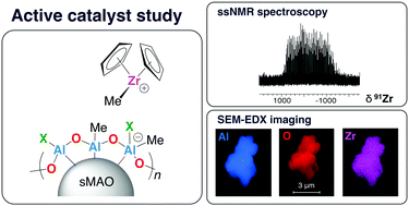 Graphical abstract: Physicochemical surface-structure studies of highly active zirconocene polymerisation catalysts on solid polymethylaluminoxane activating supports