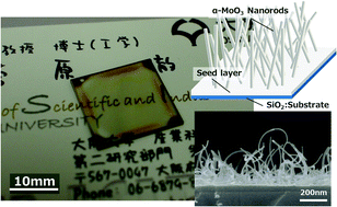 Graphical abstract: Effects of additive NH3 with citric acid in the precursor and controlling the deposited thickness for growing molybdenum oxide crystals and nanorods