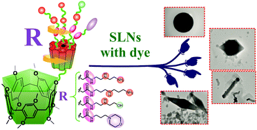 Graphical abstract: Morphology, structure and cytotoxicity of dye-loaded lipid nanoparticles based on monoamine pillar[5]arenes