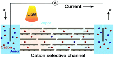 Graphical abstract: A bio-inspired transpiration ion pump based on MXene