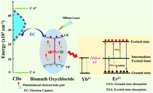Graphical abstract: Enhanced upconversion luminescence of BiOCl:Yb3+,Er3+ nanosheets via carbon dot modification and their optical temperature sensing
