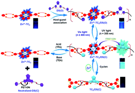 Graphical abstract: Optical-switchable energy transfer controlled by multiple-responsive turn-on fluorescence via metal–ligand and host–guest interactions in diarylethene-based [2]pseudo-rotaxane polymers