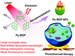 Graphical abstract: Structural optimization of organic fluorophores for highly efficient photothermal therapy