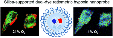 Graphical abstract: Silica-supported dual-dye nanoprobes for ratiometric hypoxia sensing