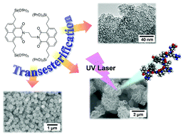 Graphical abstract: Nanostructured organosilicas constructed by homopolycondensation of a transesterified bulky precursor and their potential in laser desorption/ionization