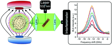 Graphical abstract: Highly-magnetic mineral protein–tannin vehicles with anti-breast cancer activity