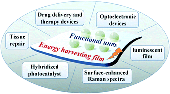 Graphical abstract: Self-powered materials obtained by interfacing functional assemblies with energy harvesting films