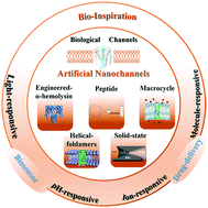 Graphical abstract: Bioinspired artificial nanochannels: construction and application