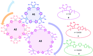 Graphical abstract: Cyclobutene based macrocycles