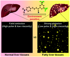 Graphical abstract: Diagnosis of fatty liver disease by a multiphoton-active and lipid-droplet-specific AIEgen with nonaromatic rotors