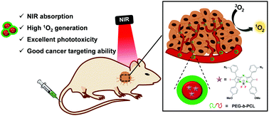 Graphical abstract: Aza-BODIPY encapsulated polymeric nanoparticles as an effective nanodelivery system for photodynamic cancer treatment
