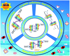 Graphical abstract: Bismuth-based Z-scheme photocatalytic systems for solar energy conversion