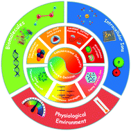 Graphical abstract: Spectral engineering of lanthanide-doped upconversion nanoparticles and their biosensing applications