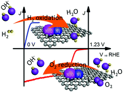 Graphical abstract: Heterojunction-induced nickel-based oxygen vacancies on N-enriched porous carbons for enhanced alkaline hydrogen oxidation and oxygen reduction