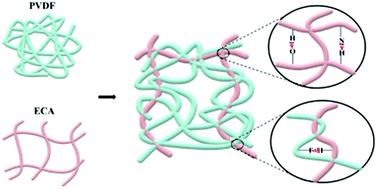 Graphical abstract: Ethyl cyanoacrylate reinforced polyvinylidene fluoride separators for robust lithium ion batteries